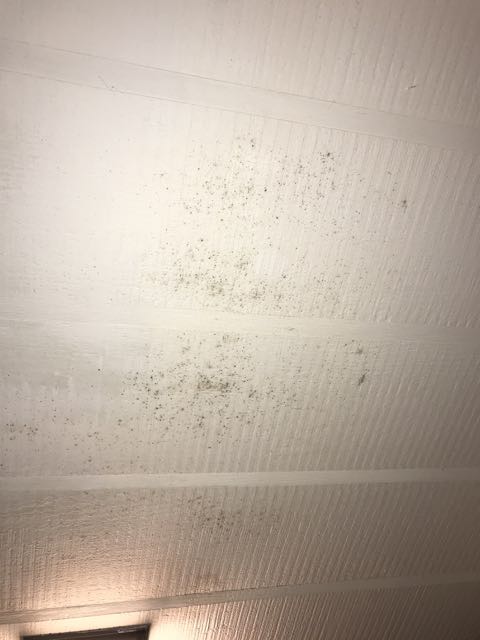 Loading Resort Image...